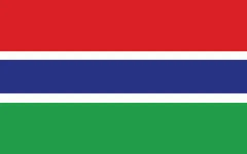 Gambian flag vector graphic. Rectangle Gambia flag illustration. Gambian coun Illustration