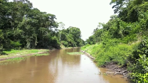 Gamboa Stock Footage 299720313