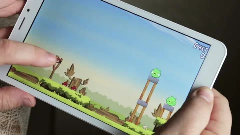 Game "Angry birds" on the tablet screen Stock Footage 96986770