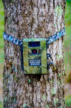 Game Camera on Tree Stock Photos