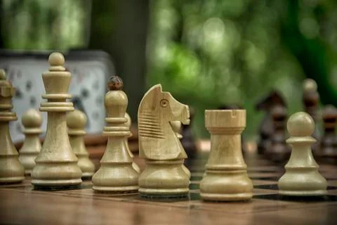 A Game of Chess Stock Photos