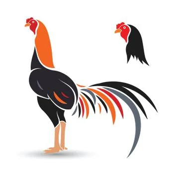 Game-cock Stock Illustration