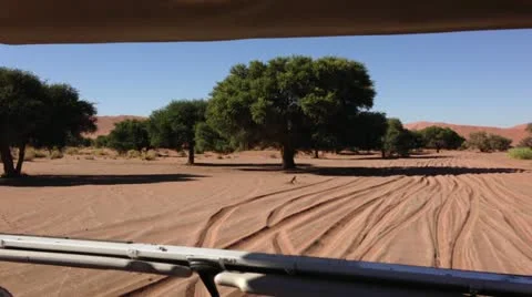 Game Drive in Dessert Stock Footage