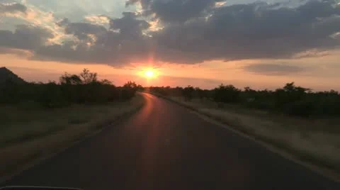 Game drive in kruger park Stock Footage 22784256