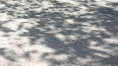 Game of light and shade from the leaves on the paving tile Stock Footage