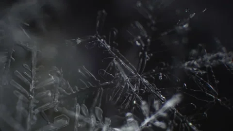 Game of lights in macro world. Awesome snowflake under microscope with super mag Stock Footage 157333109