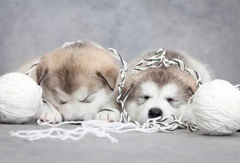 Game over 写真素材