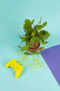Game of plant Stock Photos