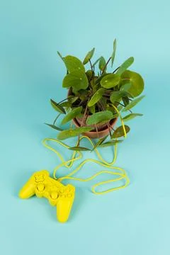Game of plant Stock Photos