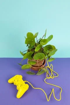Game of plant Stock Photos