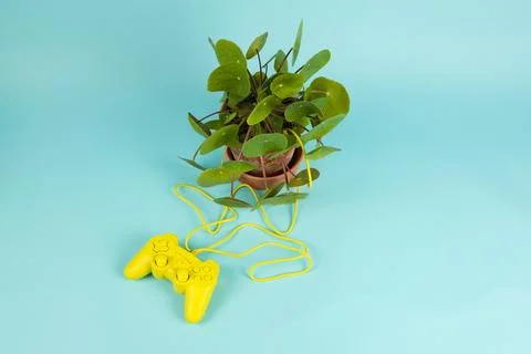Game of plant Stock Photos