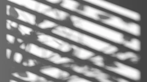 Game of shadow with blinds and trees blend effect Illustrazione stock