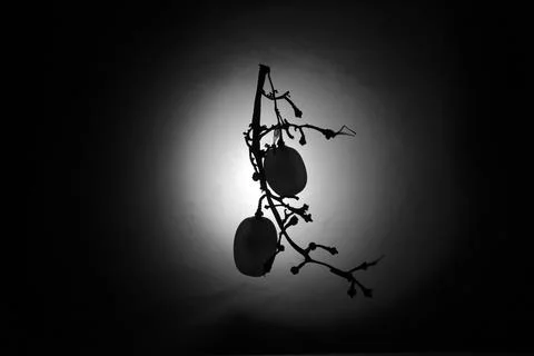 A game of shadows Stock Photos