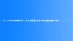 GamePlayMoney S011SP.261 Sound Effect
