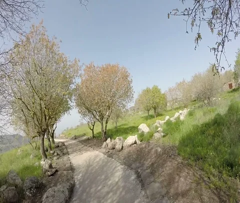 Gamla 01 Stock Footage 111067721