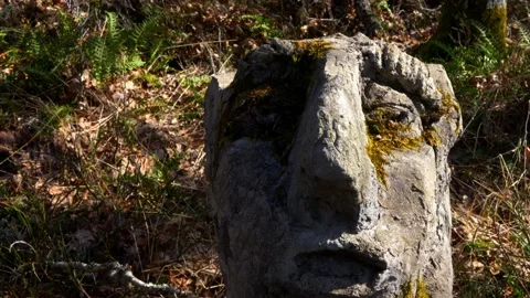 Forest shaped like a troll face with a river