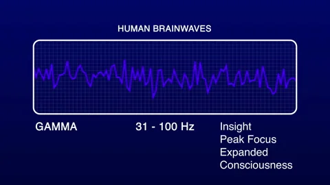 Human Brain Diagram Stock Footage ~ Royalty Free Stock Videos | Pond5