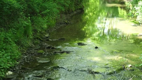 Gande stream in Bad Gandersheim Germany, the natural stream beds Stock Footage 263876252