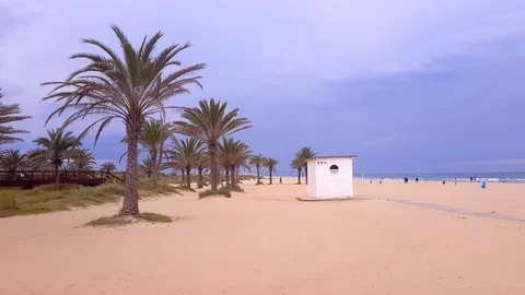 Gandia Palms Stock Footage 107288644