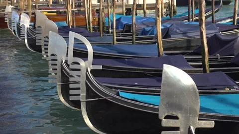 Gandol noses on the parking. Stock Footage 143252228