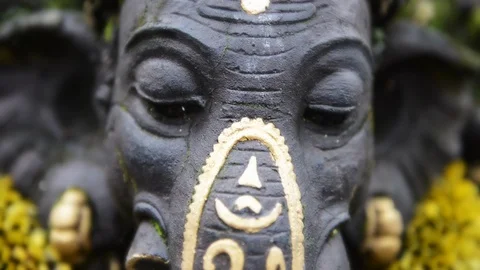 Ganesha close up Stock Footage 95184953