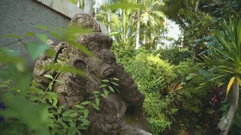 Ganesha stone statue in a garden between trees and bushes Video stock 77899147