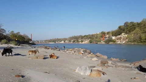 Ganga river flow in Uttarakhand Vídeo Stock 106714140