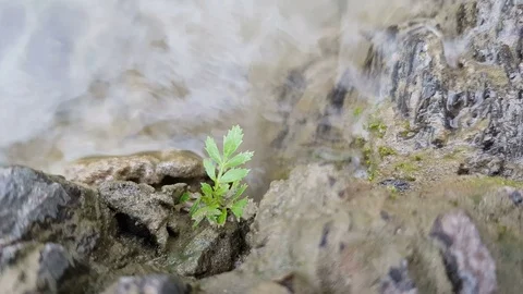 Ganga river flow in Uttarakhand Stock-Footage 106740023