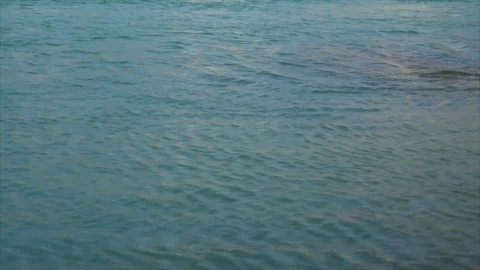 The Ganges River, India, Rishikesh Video stock 91573414