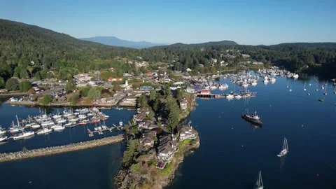 Ganges, Salt Spring Island marinas aerial Stock Footage 291554370