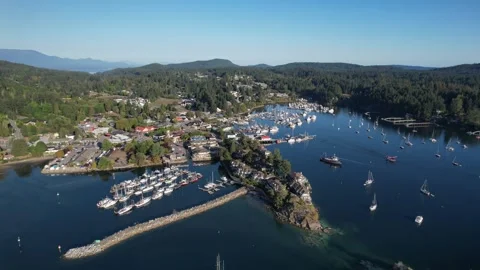 Ganges, Salt Spring Island marinas aerial Stock Footage 291559242