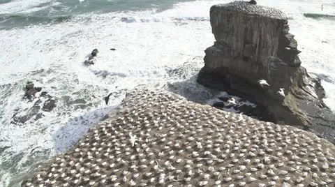 Gannett's Colony by a cliff Stock Footage 12104912