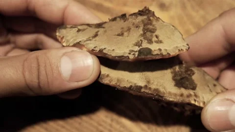 Ganoderma applanatum on wood table Stock Footage 142274207