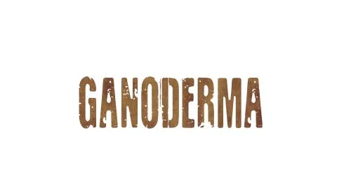 Ganoderma Stock Illustration