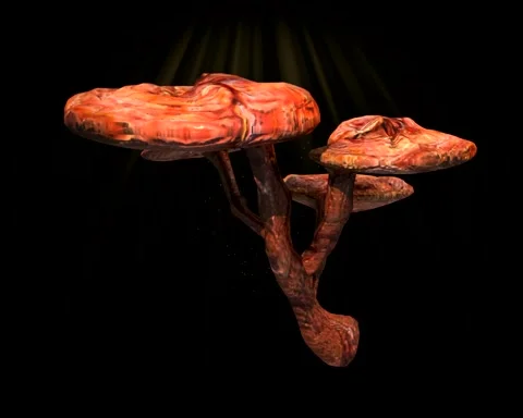 Ganoderma lucidum 3D animation Stock Footage 241911048