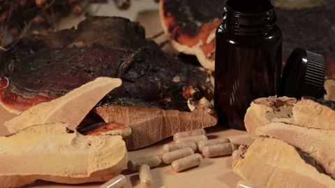 Ganoderma lucidum capsules with dark bottle Stock Footage 152794131