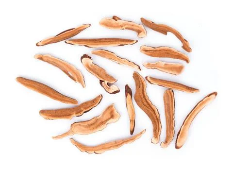 Ganoderma Lucidum isolated on white background 写真素材