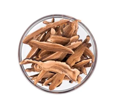 Ganoderma Lucidum isolated on white background 写真素材