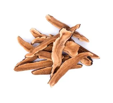 Ganoderma Lucidum isolated on white background 写真素材