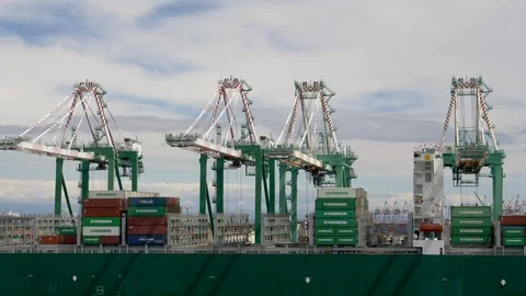 Gantry container cranes unloading container ship Video stock 106881047