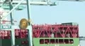 Gantry Crane Offloads Container Ship HD Footage