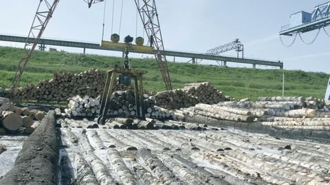 A gantry crane on the sawmill Stock Footage 74770160