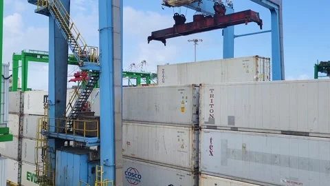 Gantry crane spreader moving into position above containers at Panama Port Vidéo 313649735