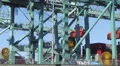 Gantry Cranes Load Shipping Containers HD Footage