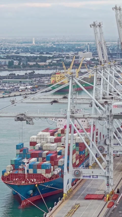 Gantry cranes loading container ship at Melbourne port Stock Footage 332778308