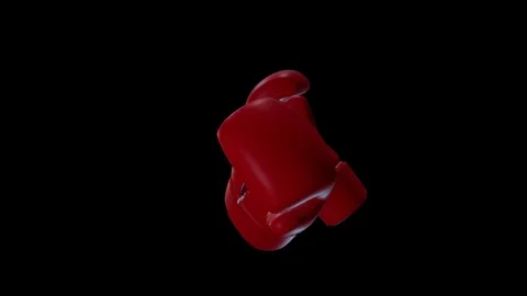 GANTS BOXE ROUGE 3D Stock Footage 73058988