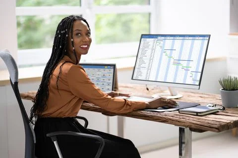 Gantt Gantt Software Project Stock Photos