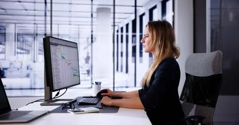 Gantt Software Project Document Plan List Foto stock