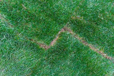 Gap between two laid sod lawn pieces (diagonal) Stock Photos