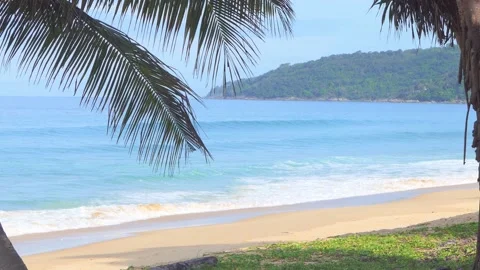Gap of coconut trees at Sai Talay Beach, Kata Beach, Phuket, Thailand Stock-Footage 164299401